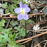 Sheryl Young - @lovemyyarn1958 - Instagram