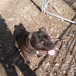 Sheryl Young - Facebook