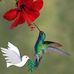 Sheyla Moreno - Facebook