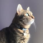 Shila Özbay - @shilaozbay - Instagram