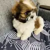 Martin_shitsu - @martin_shitsu - TikTok