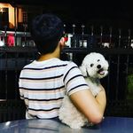 Yi Shien Lee - @yishiennn - Instagram