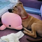 Shih YI Chen - @shihyi.c - Instagram