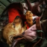 Shilo Bailey - @adventureswithshilo - Instagram