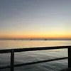 shiloh - @..shilohhill - TikTok