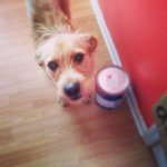 Shilo Johnson - @home_peace_love - Instagram