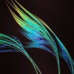 Shilo Johnson - @redshilo101 - Instagram
