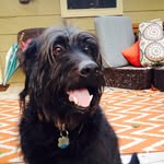 Shiloh Hanson - @shiloh_hanson06 - Instagram