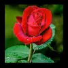 Shilpa Pathak - @shilpapathak573 - TikTok