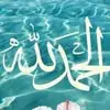 Shimaa Elsayed - @shimaa.elsayed0049 - TikTok