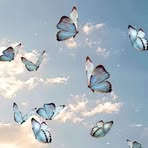 Shimaa Elsayed - Facebook
