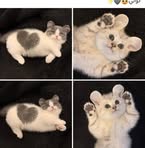 Shimaa Elsayed - Facebook