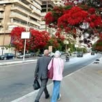 Shimaa Elsayed - @sh_elsayed99 - Instagram