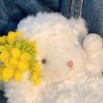 Shiming Yang - @_shiming_yang - Instagram