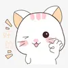 你有在做的話說 - @shinwang_ - TikTok