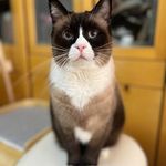 Shing Cheng - @wilson_cts - Instagram