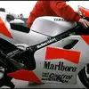 Shing Poon - @yzr500 - TikTok