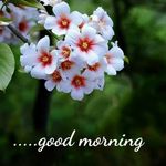 Shinu Abraham - @shinu.abraham.5680 - Instagram