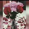 Shiny Sjames - @shinysjames - TikTok