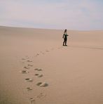 Shinyi Lee - Facebook