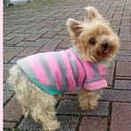 ShinYi Lee - Facebook