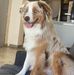 Shira Katz - Facebook