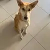 shira.rubin - @shira.rubin - TikTok