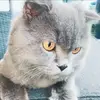 shira solomon - @shira2307 - TikTok
