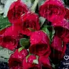 shirin Patel 🇮🇳🇲🇼 - @shirin.patel64 - TikTok