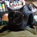 Shirl Williams - Facebook