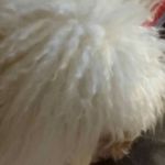 shirlene berry - @shirleneberry1243 - Instagram