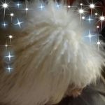 Shirlene Berry - @shirlene.berry.1 - Instagram