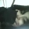 ali☆ - @shirleyali.1 - TikTok