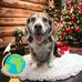 Shirley Anglin - Facebook