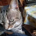 Shirley Annis - Facebook