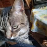 Shirley Annis - @shirley.annis.5 - Instagram