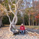 Shirley Annis Keddy - Facebook