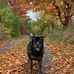 Shirley Armitage - Facebook