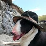 Shirley Armitage - @stansmate - Instagram