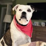 Shirley Avery Bentley - @shirleyaverybentley - Instagram