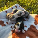 Shirley Babb Hicks - @shirhicks - Instagram