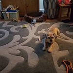 shirley bartram - @shirleybartram - Instagram