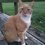 Shirley Basham Siewiorek - @bashamsiewiorek - Instagram