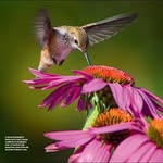 Shirley Baucom McKay - @shirleybaucomm - Instagram