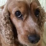 Shirley Becker - @shirleyabecker - Instagram