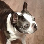 Shirley Becker - @shirley.becker.33483 - Instagram