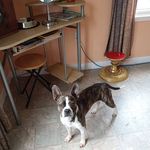 Shirley Benoit - @shirley.benoit.56 - Instagram