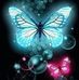Shirley Bergquist - Facebook