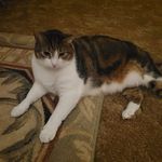Shirley Billups - @shirleybillups55 - Instagram