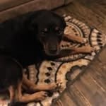 Shirley Bloss - @shirleybloss - Instagram